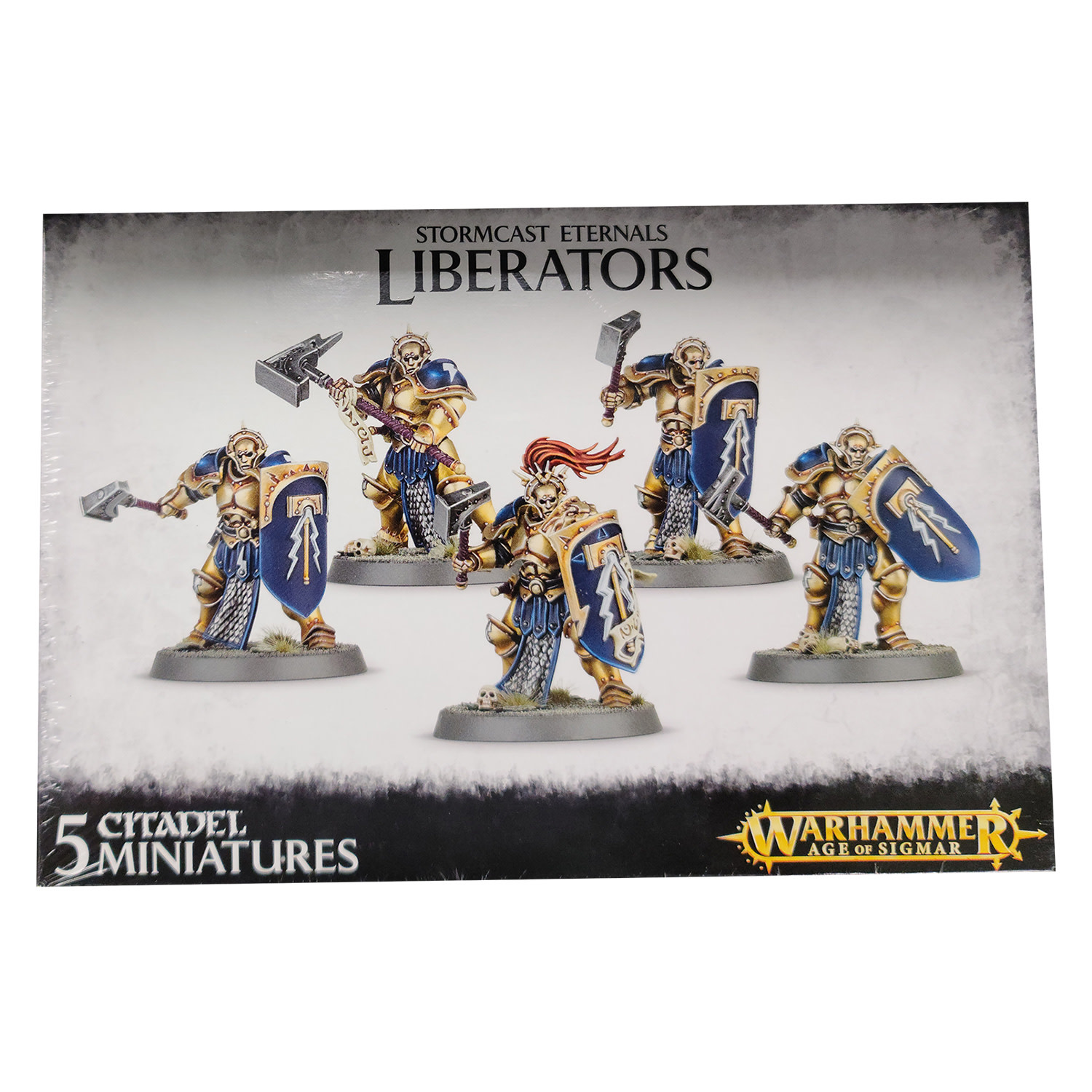 Age Of Sigmar: Stormcast Eternals: Liberators (5 Figures) - The 