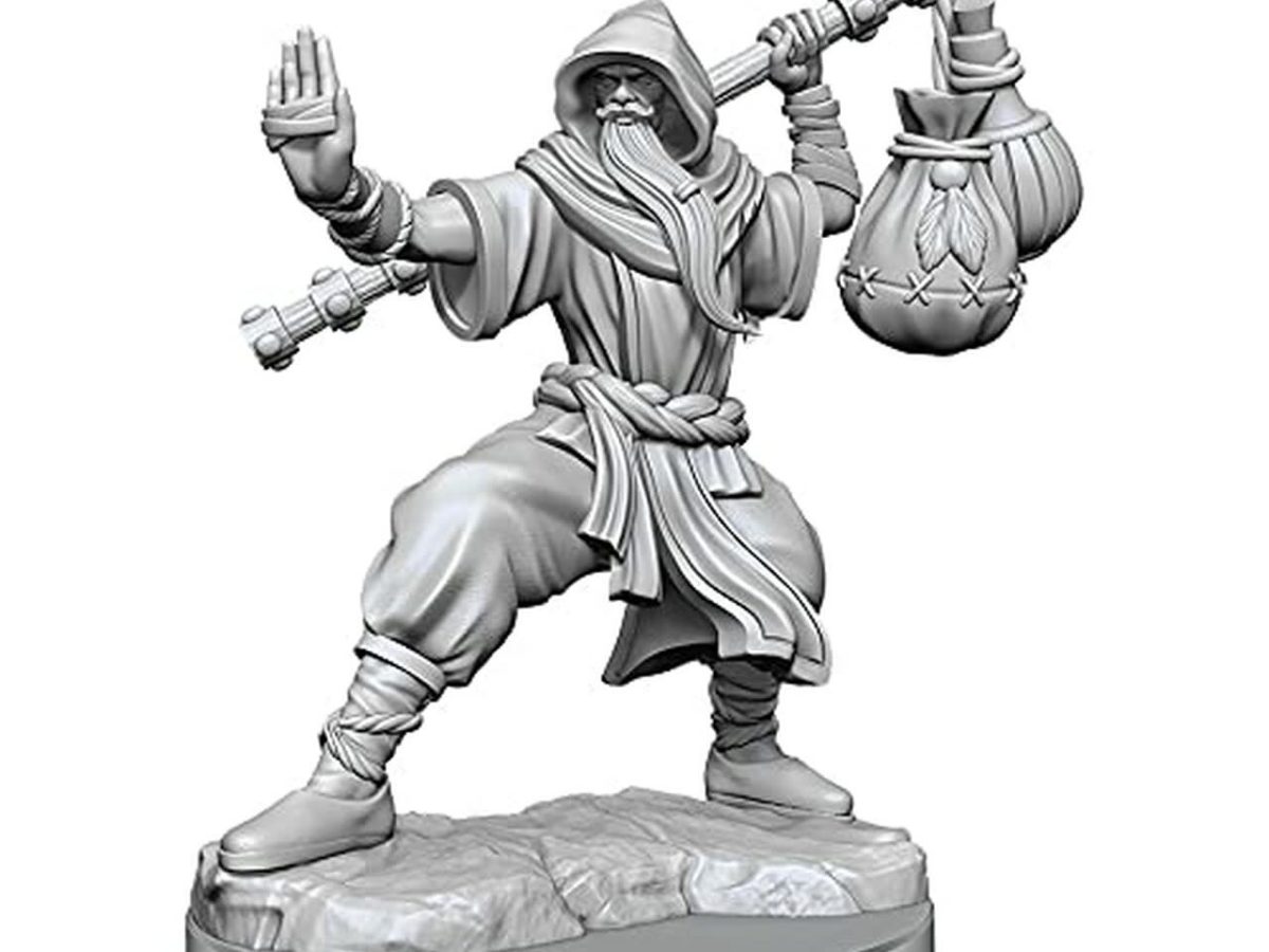 D&D Frameworks: W1 Male Human Monk, Table Top Miniatures